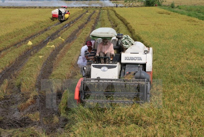 Vietnam y Japón intercambian experiencias en aplicación de alta tecnología en agricultura ảnh 1 Vietnam y Japón intercambian experiencias en aplicación de alta tecnología en agricultura ảnh 1