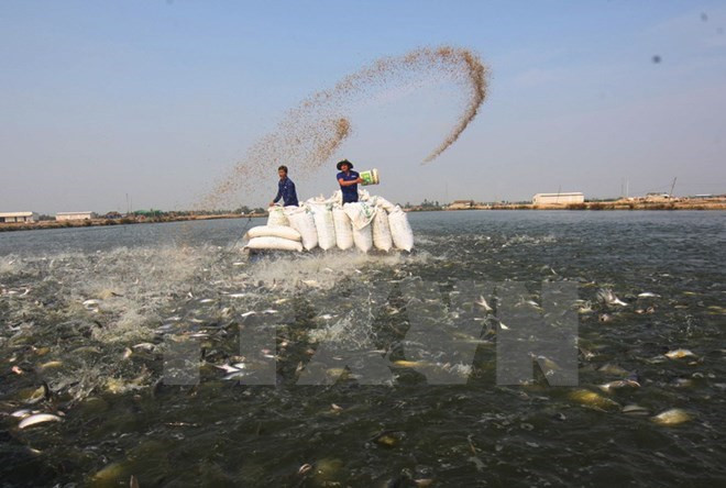 Provincia vietnamita busca promover nexos comerciales con Australia ảnh 1 Provincia vietnamita busca promover nexos comerciales con Australia ảnh 1