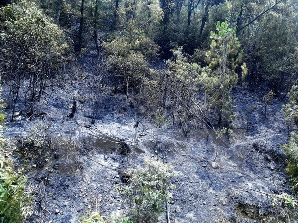 Extinguido incendio forestal en complejo paisajístico patrimonial Trang An ảnh 1 Extinguido incendio forestal en complejo paisajístico patrimonial Trang An ảnh 1