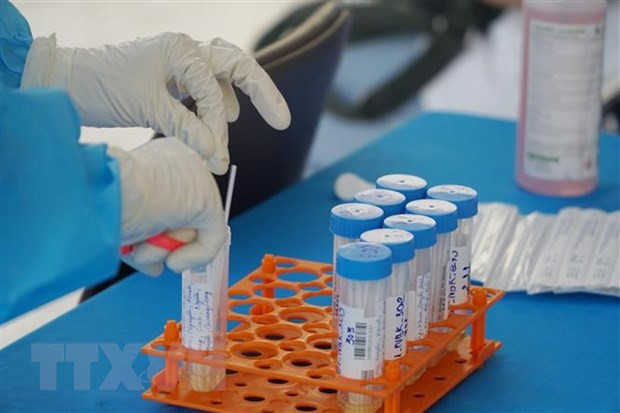 Reporta Vietnam 353 casos nuevos de COVID-19 ảnh 1