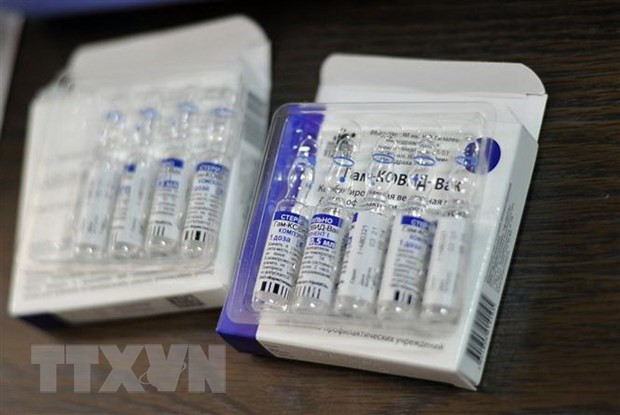 Indonesia y Rusia cooperan en producción de vacuna contra el COVID-19 ảnh 1 Indonesia y Rusia cooperan en producción de vacuna contra el COVID-19 ảnh 1