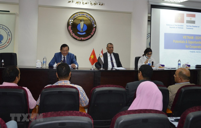 Vietnam y Egipto promueven cooperación en comercio y turismo ảnh 1 Vietnam y Egipto promueven cooperación en comercio y turismo ảnh 1