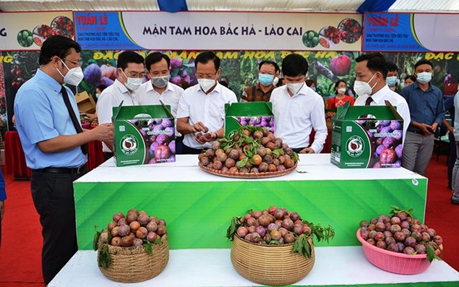 Vietnam por promover progreso agrícola en medio de COVID-19 ảnh 1