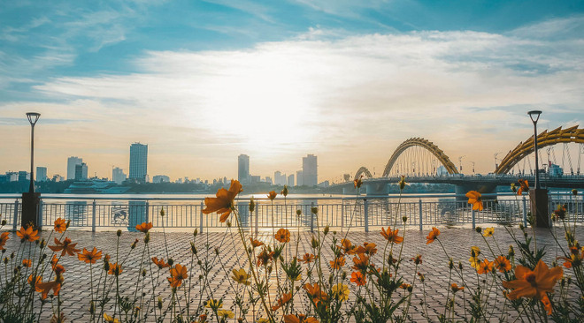 Lanzan programa de promoción gastronómica sobre Da Nang ảnh 1