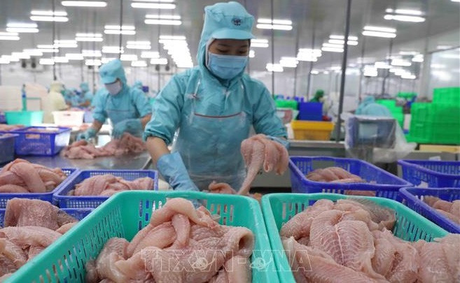 Eleva Vietnam meta de exportaciones agroforestales y acuícolas en 2021 ảnh 1 Eleva Vietnam meta de exportaciones agroforestales y acuícolas en 2021 ảnh 1