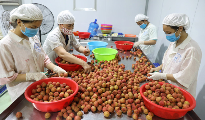 Australia amplía oportunidades comerciales con Vietnam ảnh 1 Australia amplía oportunidades comerciales con Vietnam ảnh 1