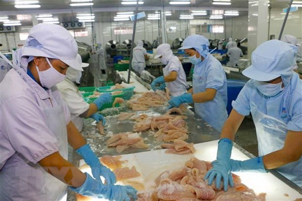 Exportaciones de productos acuícolas de Vietnam superan los cuatro mil millones de dólares ảnh 1 Exportaciones de productos acuícolas de Vietnam superan los cuatro mil millones de dólares ảnh 1