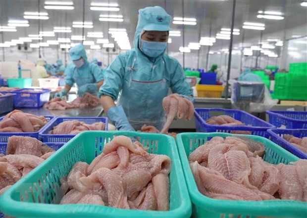 EE.UU. exime a dos exportadores vietnamitas del pescado Tra del impuesto antidumping ảnh 1