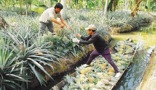 Provincia sureña se enfoca en preservar genes raros de animales y plantas ảnh 1