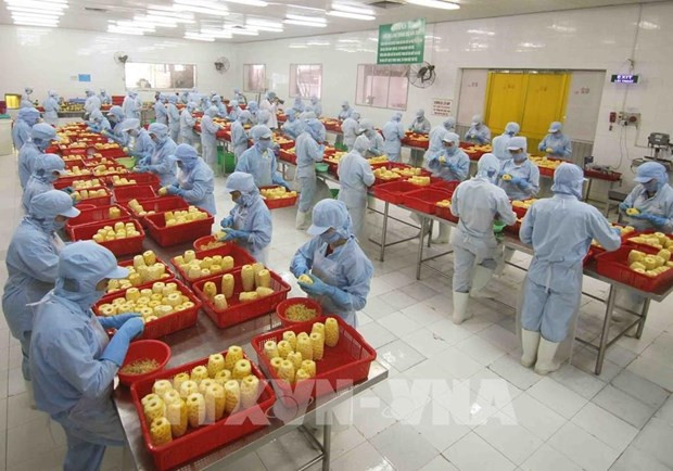 Aumentan un 17,4 por ciento las exportaciones vietnamitas de frutas y hortalizas ảnh 1 Aumentan un 17,4 por ciento las exportaciones vietnamitas de frutas y hortalizas ảnh 1