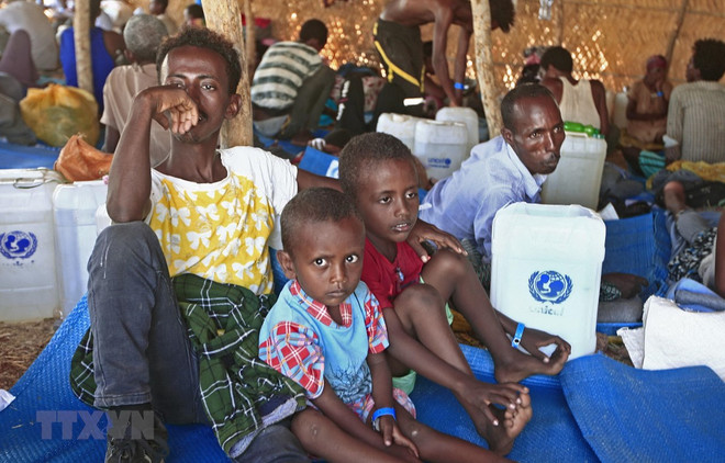 Vietnam condena ataques contra civiles en Etiopía ảnh 1