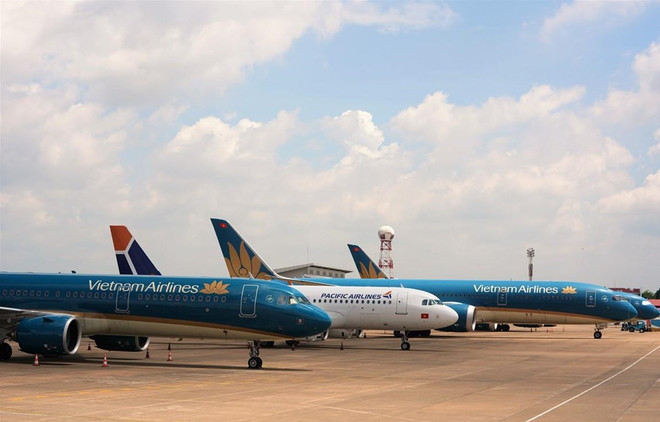 Aviación vietnamita aspira a reabrir vuelos internacionales ảnh 1 Aviación vietnamita aspira a reabrir vuelos internacionales ảnh 1