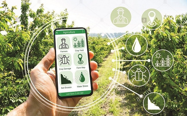 Bac Giang acelera transformación digital en construcción de nueva ruralidad ảnh 1 Bac Giang acelera transformación digital en construcción de nueva ruralidad ảnh 1