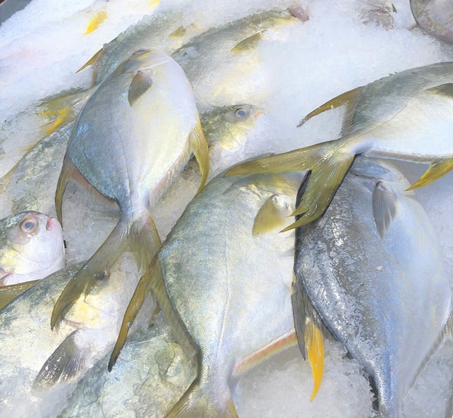 Empresas de provincia vietnamita de Dong Nai reanudarán producción en noviembre ảnh 1 Empresas de provincia vietnamita de Dong Nai reanudarán producción en noviembre ảnh 1