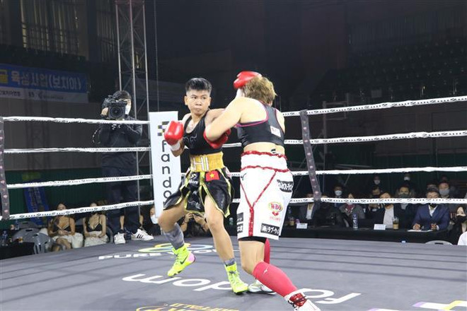 Boxeadora vietnamita se corona campeona mundial de la OMB ảnh 2 Boxeadora vietnamita se corona campeona mundial de la OMB ảnh 2