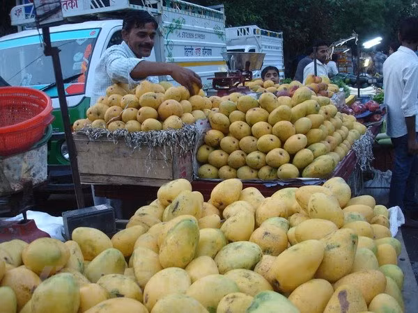 Corea del Sur aumenta importaciones de mango vietnamita ảnh 1