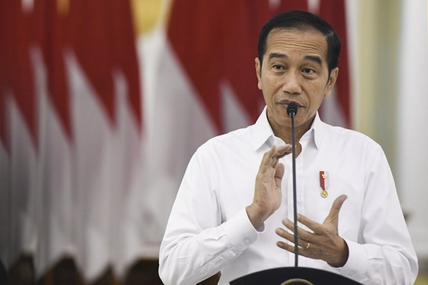 Indonesia promueve cooperación ASEAN-Rusia ảnh 1 Indonesia promueve cooperación ASEAN-Rusia ảnh 1