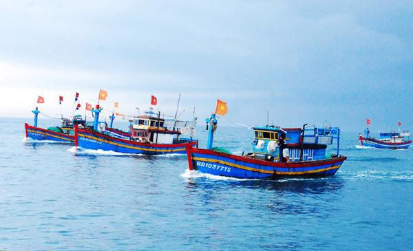 Provincia vietnamita de Kien Giang por erradicar pesca irreglamentaria ảnh 1