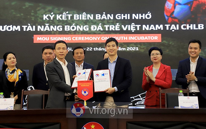 Fútbol vietnamita promueve cooperación integral con la Bundesliga ảnh 1