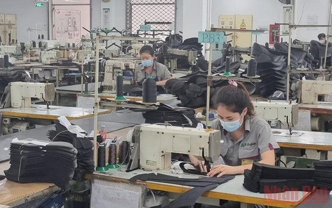 Más de 232 mil trabajadores en Ciudad Ho Chi Minh se benefician del seguro de desempleo ảnh 1