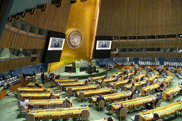 Vietnam propone iniciativas para conservación de biodiversidad en Cumbre temática de ONU ảnh 1 Vietnam propone iniciativas para conservación de biodiversidad en Cumbre temática de ONU ảnh 1