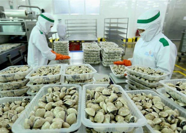 Exportaciones de Vietnam aumentan 4,2 por ciento ảnh 1 Exportaciones de Vietnam aumentan 4,2 por ciento ảnh 1