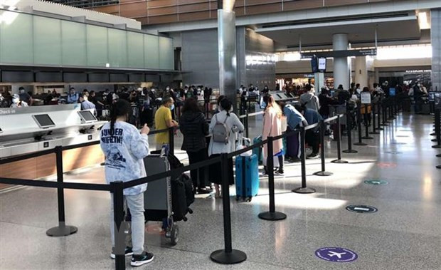 Regresan a casa más de 350 ciudadanos vietnamitas desde Reino Unido ảnh 1 Regresan a casa más de 350 ciudadanos vietnamitas desde Reino Unido ảnh 1