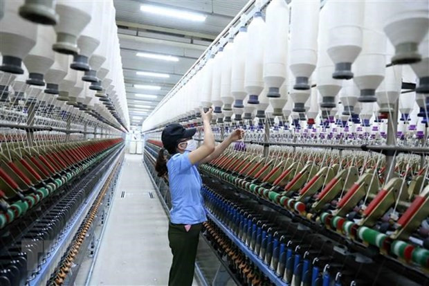 Empresas vietnamitas y alemanas buscan fomentar colaboración económica ảnh 1