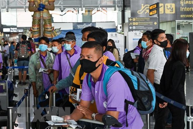 Tailandia exige a los trabajadores migrantes renovar documentos laborales ảnh 1 Tailandia exige a los trabajadores migrantes renovar documentos laborales ảnh 1