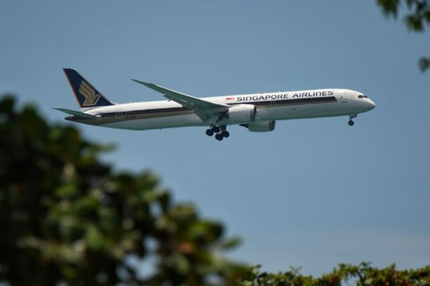 Singapore Airlines aumentará gradualmente los vuelos ảnh 1 Singapore Airlines aumentará gradualmente los vuelos ảnh 1