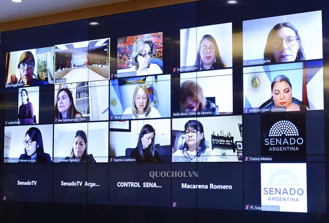 Parlamentarios de Vietnam y Argentina realizan intercambio virtual ảnh 2