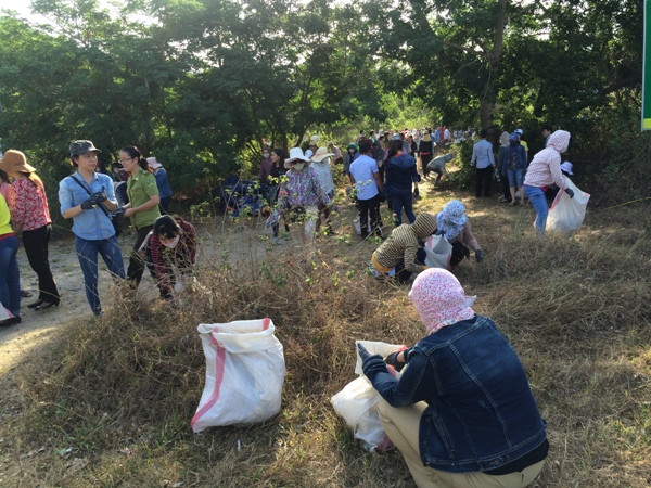 Da Nang despliega modelos de protección ambiental eficientes ảnh 1 Da Nang despliega modelos de protección ambiental eficientes ảnh 1