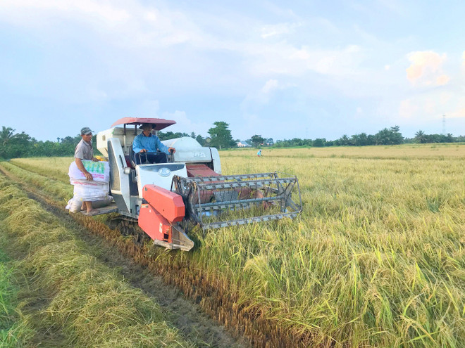 Provincia vietnamita de Vinh Long por aumentar 36 por ciento su ingreso presupuestario ảnh 1