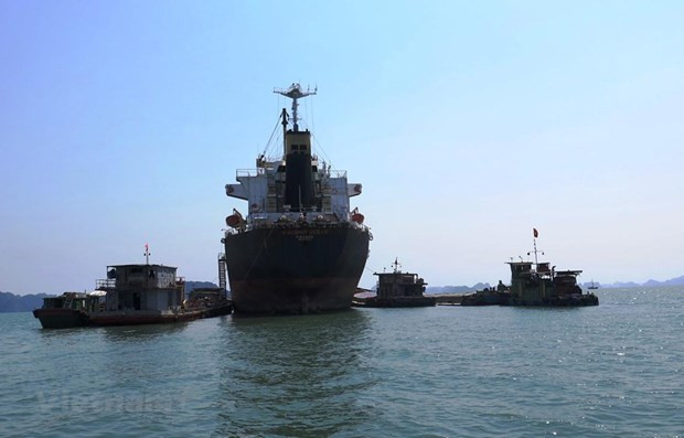 Disminuye atraque de barcos en puertos vietnamitas ảnh 1 Disminuye atraque de barcos en puertos vietnamitas ảnh 1