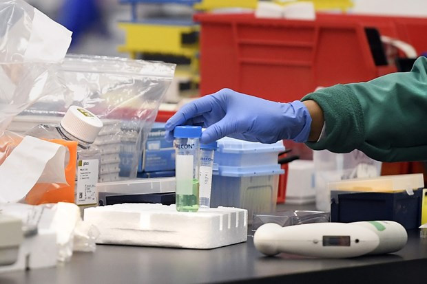 Sesión en línea sobre tratamiento de casos infectados de COVID-19 ảnh 1 Sesión en línea sobre tratamiento de casos infectados de COVID-19 ảnh 1