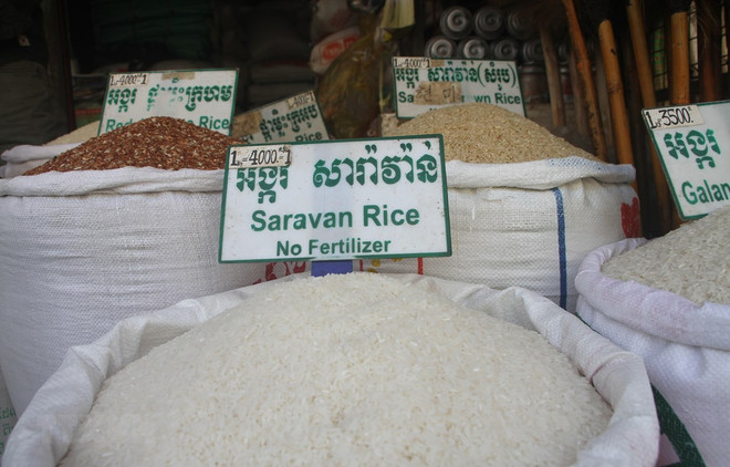 Camboya mantiene estable suministro y precio del arroz a pesar del COVID-19 ảnh 1 Camboya mantiene estable suministro y precio del arroz a pesar del COVID-19 ảnh 1