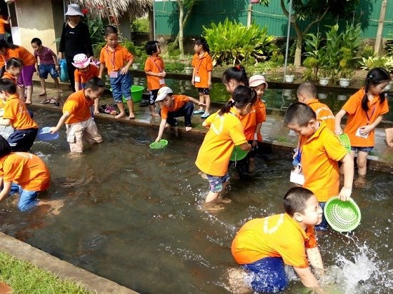 Hanoi por incentivar el ecoturismo agrícola ảnh 1 Hanoi por incentivar el ecoturismo agrícola ảnh 1