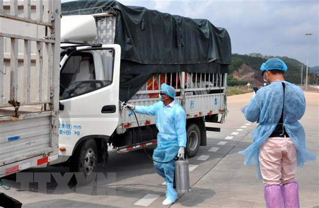 Vietnam y China buscan recuperar intercambio comercial ảnh 1 Vietnam y China buscan recuperar intercambio comercial ảnh 1