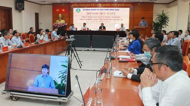 Vietnam aplica medidas para promover producción agrícola ảnh 1 Vietnam aplica medidas para promover producción agrícola ảnh 1