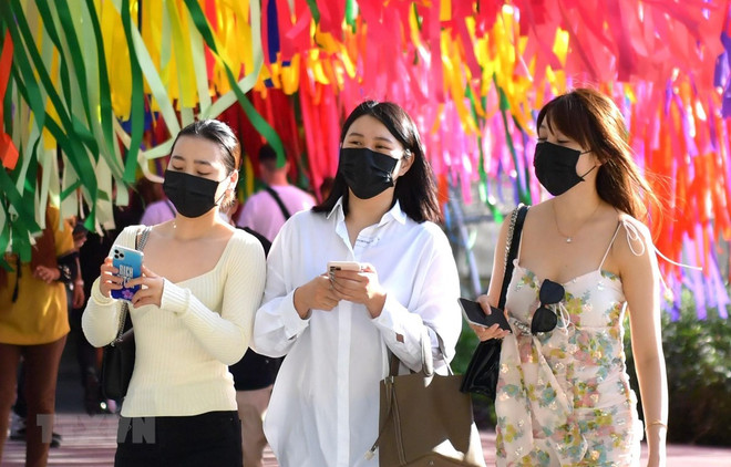 Epidemia afecta a miles de restaurantes en Tailandia ảnh 1