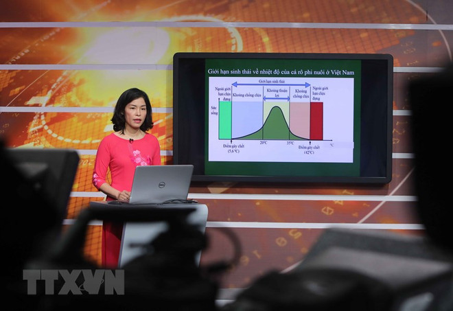 Desplegarán en Hanoi programas educativos por televisión ảnh 1