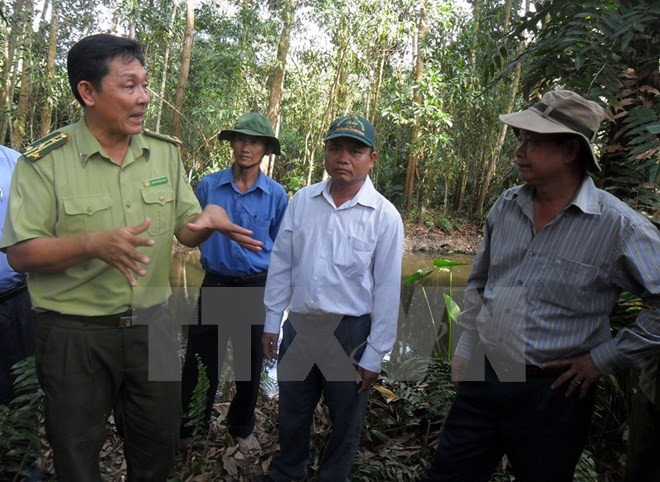 Tay Ninh corre el alto riesgo de incendios forestales ảnh 1 Tay Ninh corre el alto riesgo de incendios forestales ảnh 1