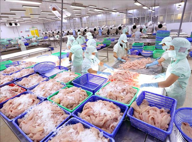 Vietnam experimenta alza en exportaciones de productos acuícolas ảnh 1 Vietnam experimenta alza en exportaciones de productos acuícolas ảnh 1