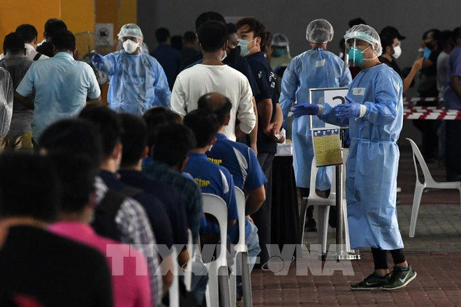 Singapur multa a nueve mil 600 casos por violar normas preventivas del COVID-19 ảnh 1