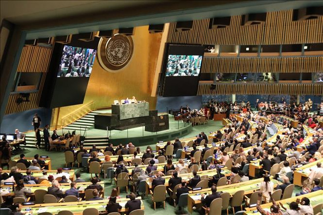 Presidencia del Consejo de Seguridad de la ONU: Impronta de Vietnam en ámbito internacional ảnh 2 Presidencia del Consejo de Seguridad de la ONU: Impronta de Vietnam en ámbito internacional ảnh 2