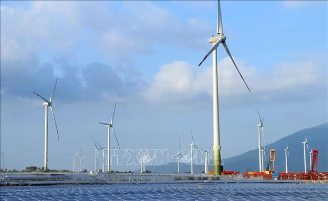 Emisiones cero netas, objetivo de Vietnam para 2050 ảnh 1