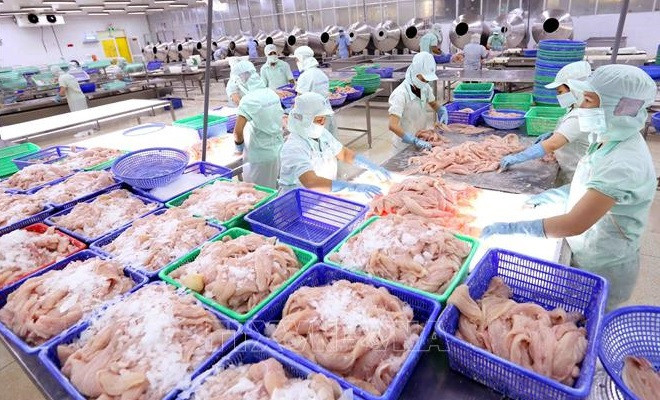 Empresas acuícolas de Vietnam por extenderse al mercado mundial ảnh 1