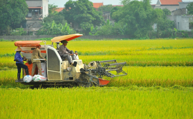 Implementan directiva del Partido sobre reducción sostenible de la pobreza ảnh 1 Implementan directiva del Partido sobre reducción sostenible de la pobreza ảnh 1