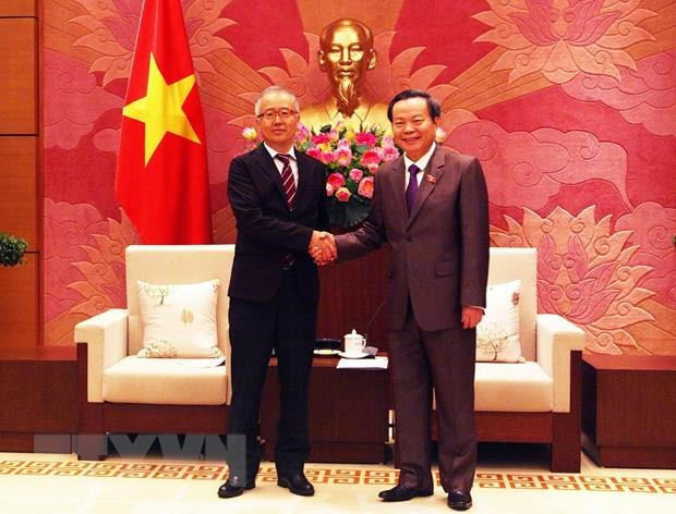 Aprecia vicepresidente del Parlamento de Vietnam fondos de asistencia al desarrollo de Japón ảnh 1 Aprecia vicepresidente del Parlamento de Vietnam fondos de asistencia al desarrollo de Japón ảnh 1