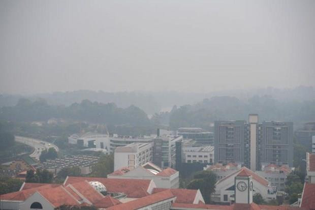 Calidad de aire en Singapur resulta insegura para salud humana por incendios en Indonesia ảnh 1 Calidad de aire en Singapur resulta insegura para salud humana por incendios en Indonesia ảnh 1